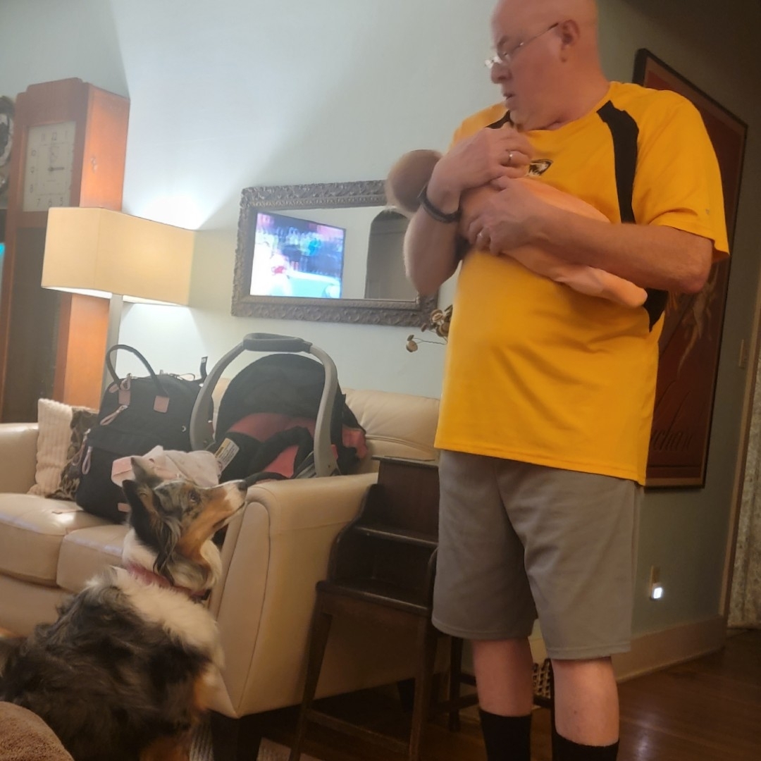 A picture of Opal, a 5 years 3 months old Other dog.