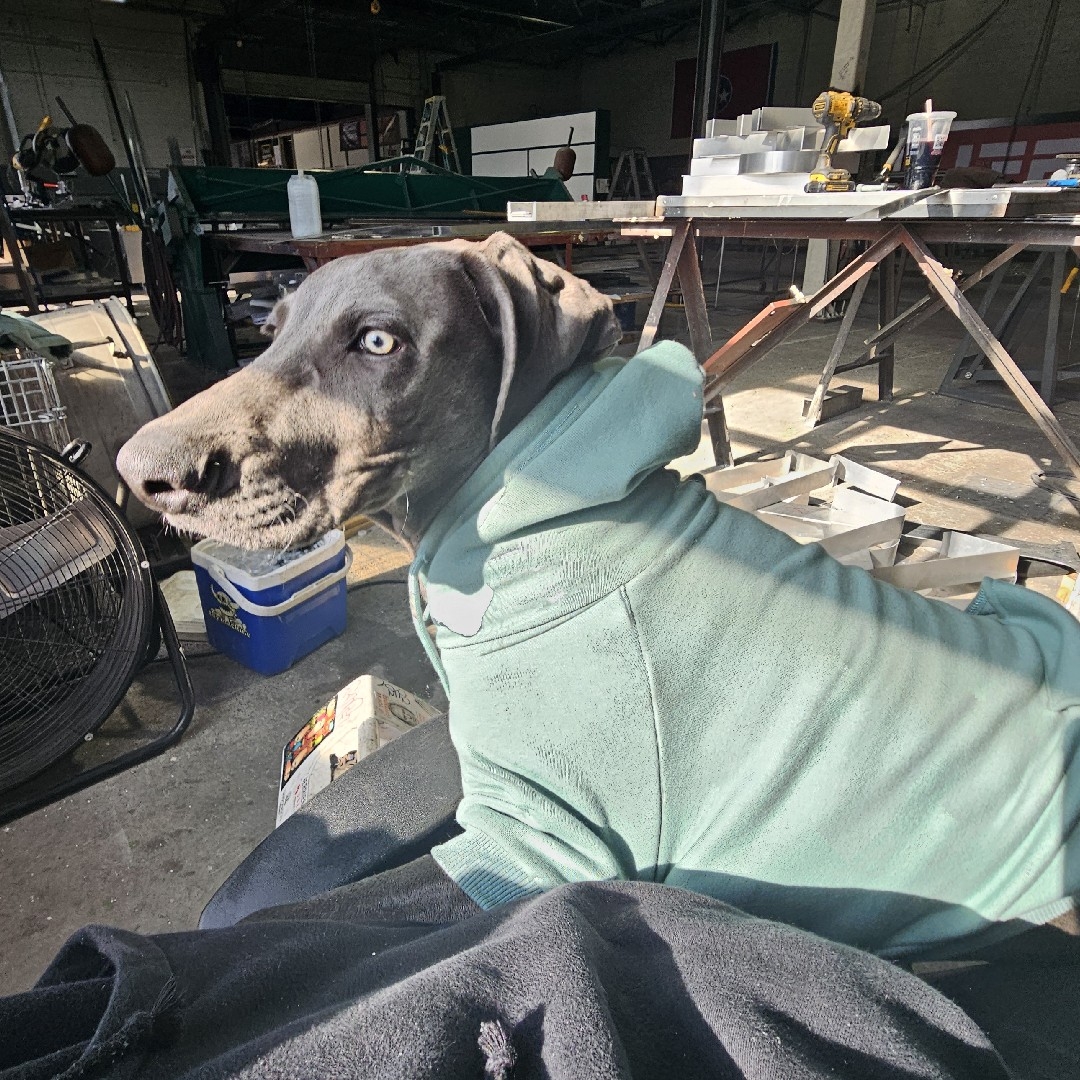 A picture of Cerberus Buford Tookie Sallee, a 1 year 10 months old Other dog.
