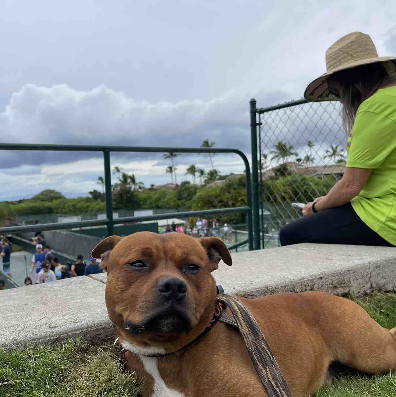 A picture of OG Bobby Johnson, a 4 years 5 months old Other dog.