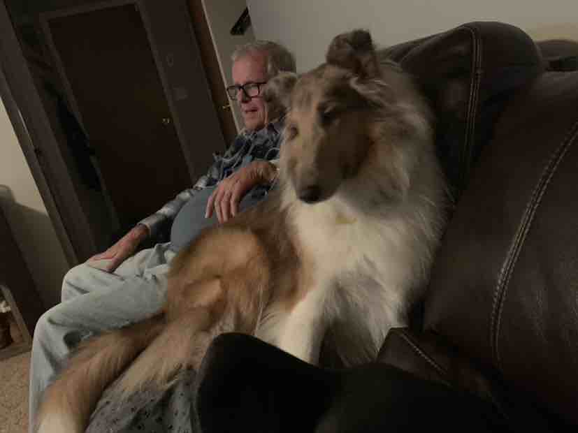A picture of Prince Wendell, a 5 years 7 months old Other dog.