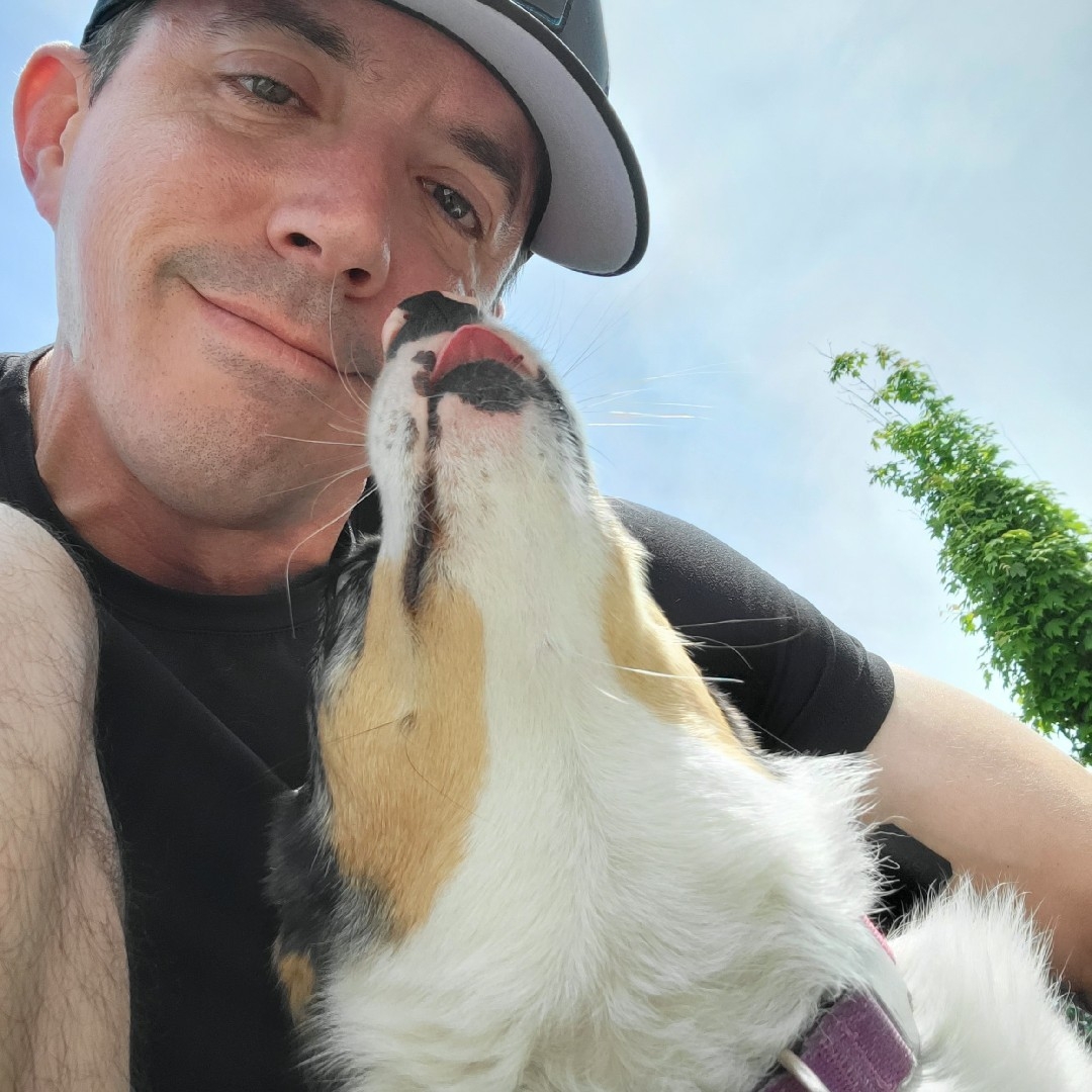 A picture of Lupa, a 6 years 3 months old Other Mix dog.