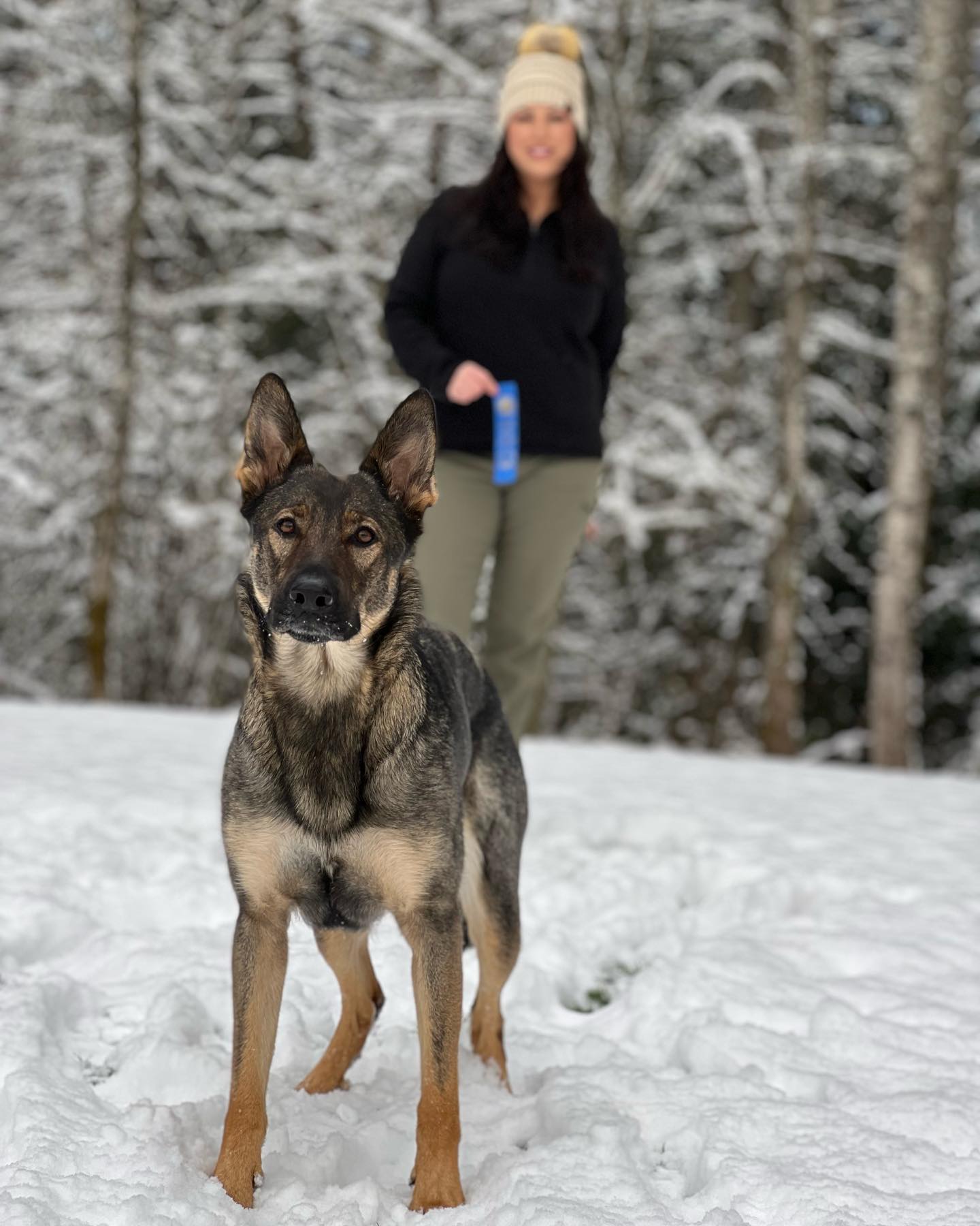 A picture of Lunatic, a 5 years 3 months old Other dog.