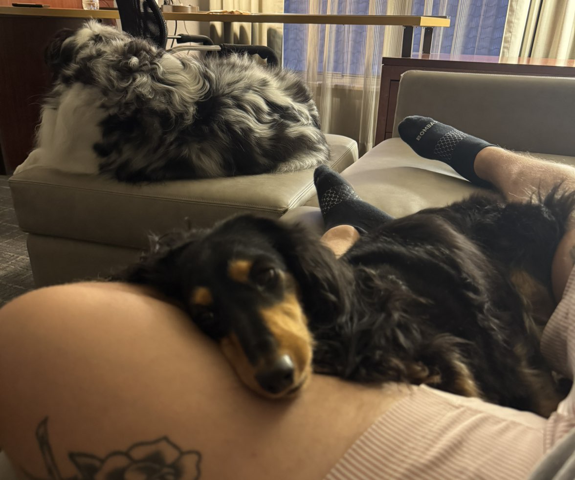 A picture of Uma Thurman, a 4 years 11 months old Other dog.