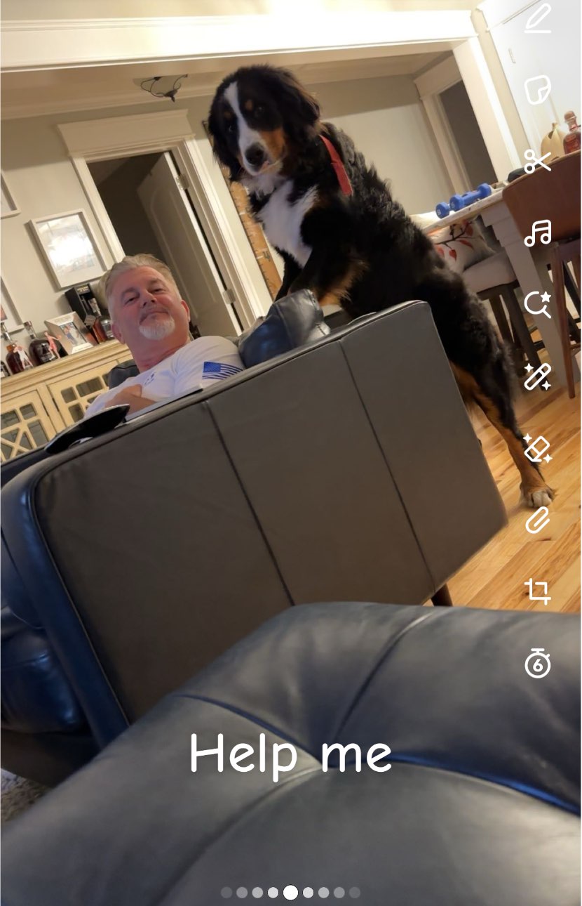A picture of Booker, a 1 year 8 months old Other dog.