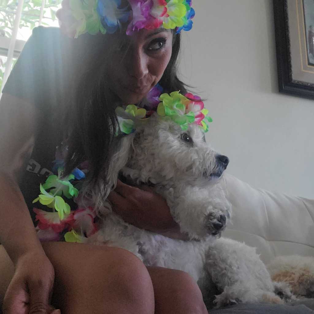 A picture of Evva Farell, a 9 years 7 months old Other Mix dog.
