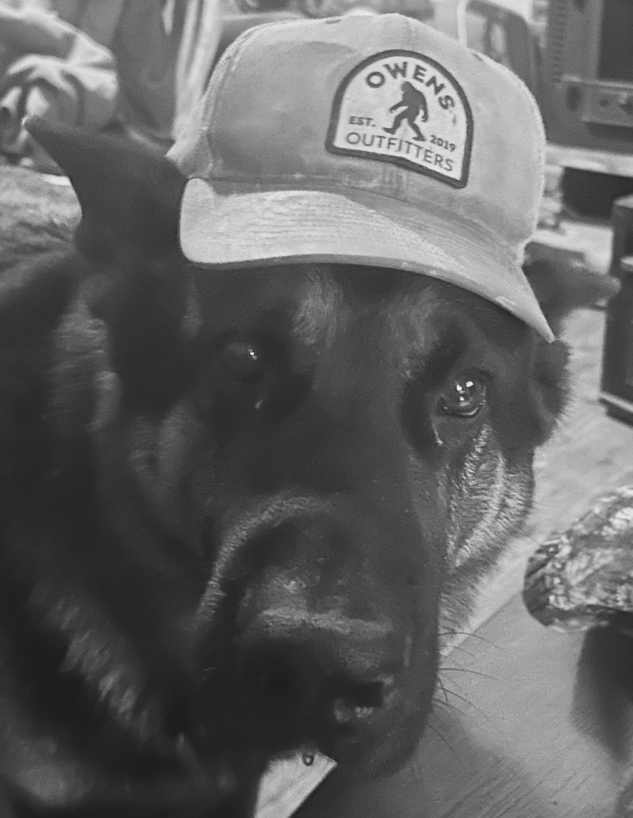 A picture of Neko, a 5 years 9 months old Other dog.
