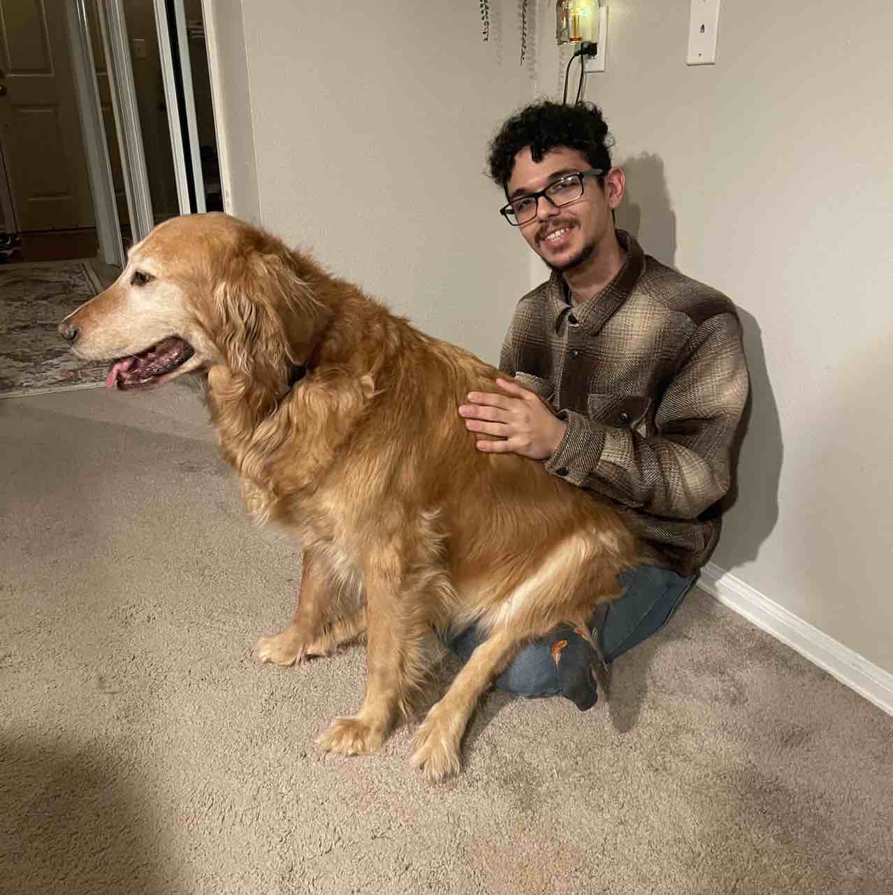 A picture of Dallas, not Texas, a 11 years 8 months old Other dog.