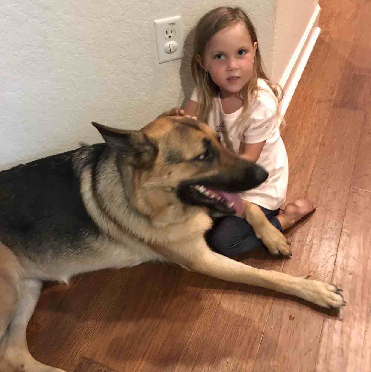 A picture of Lizzy, a 7 years 5 months old Other dog.