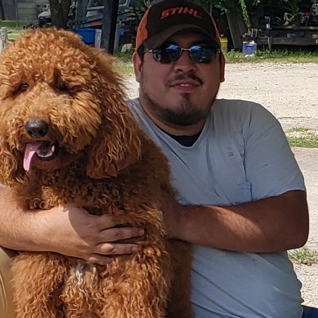 A picture of BARK-LEE, a 6 years 1 month old Other dog.