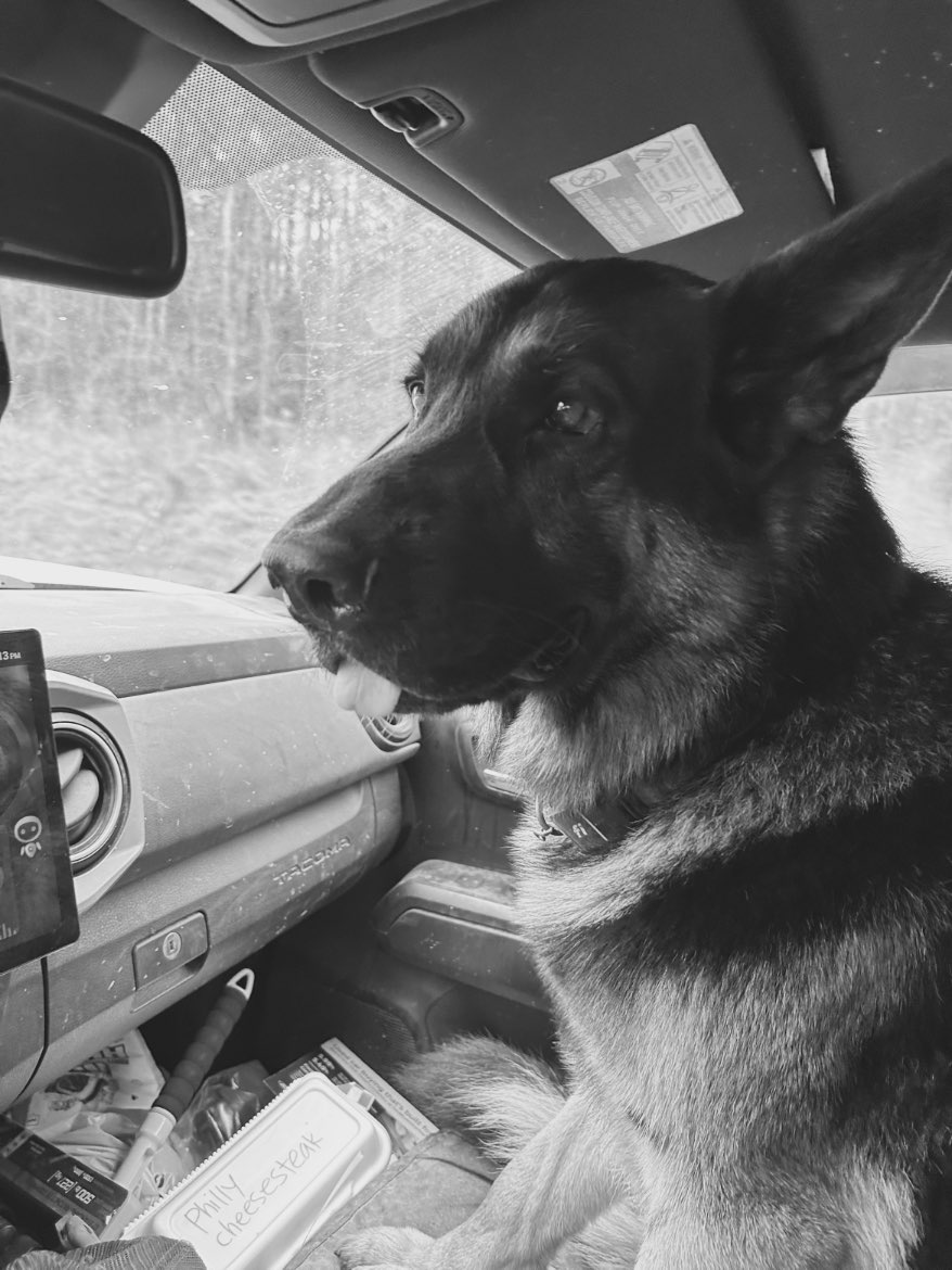 A picture of Neko, a 5 years 9 months old Other dog.