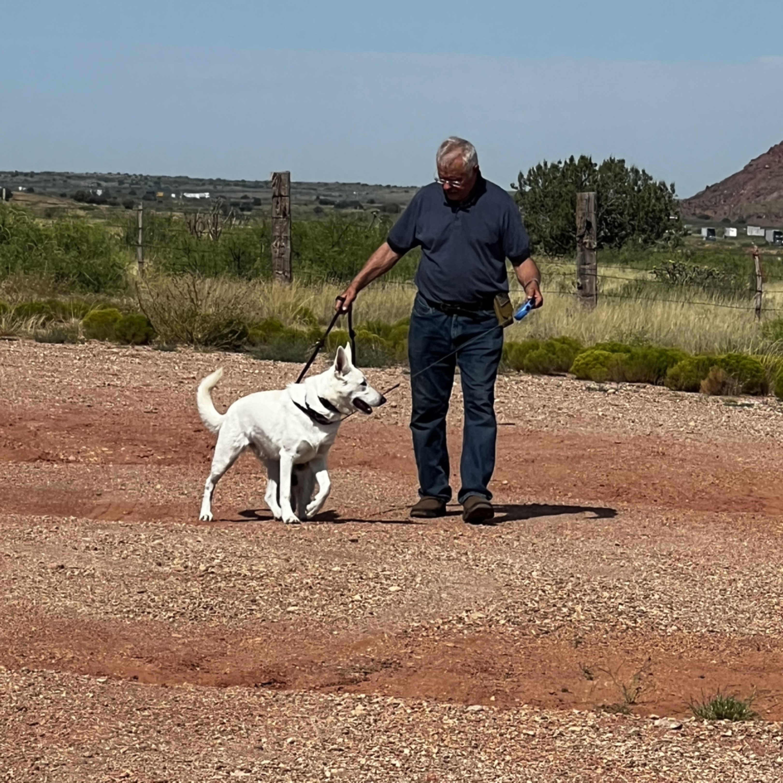 A picture of Elsa, a 9 months old Other dog.