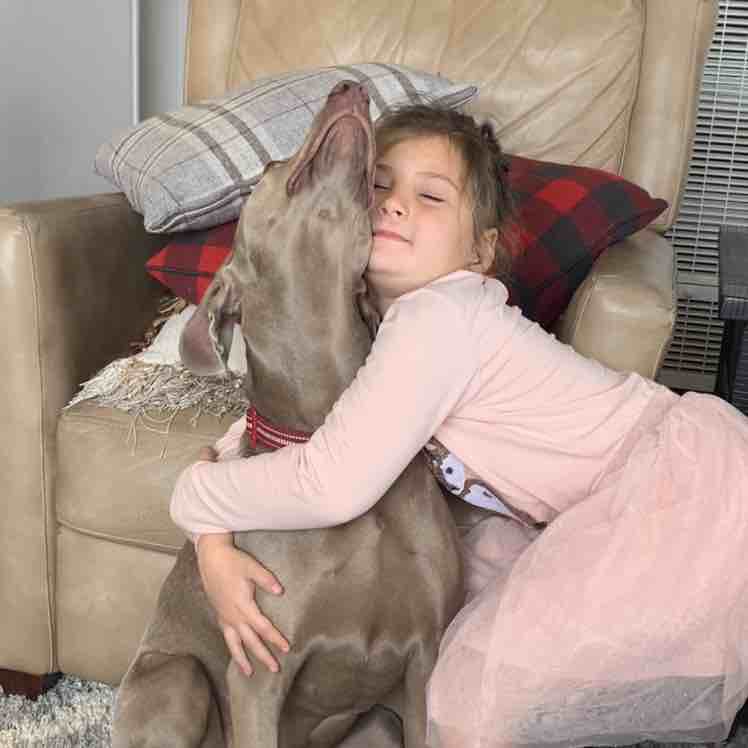 A picture of Monka, a 7 years 1 month old Other dog.