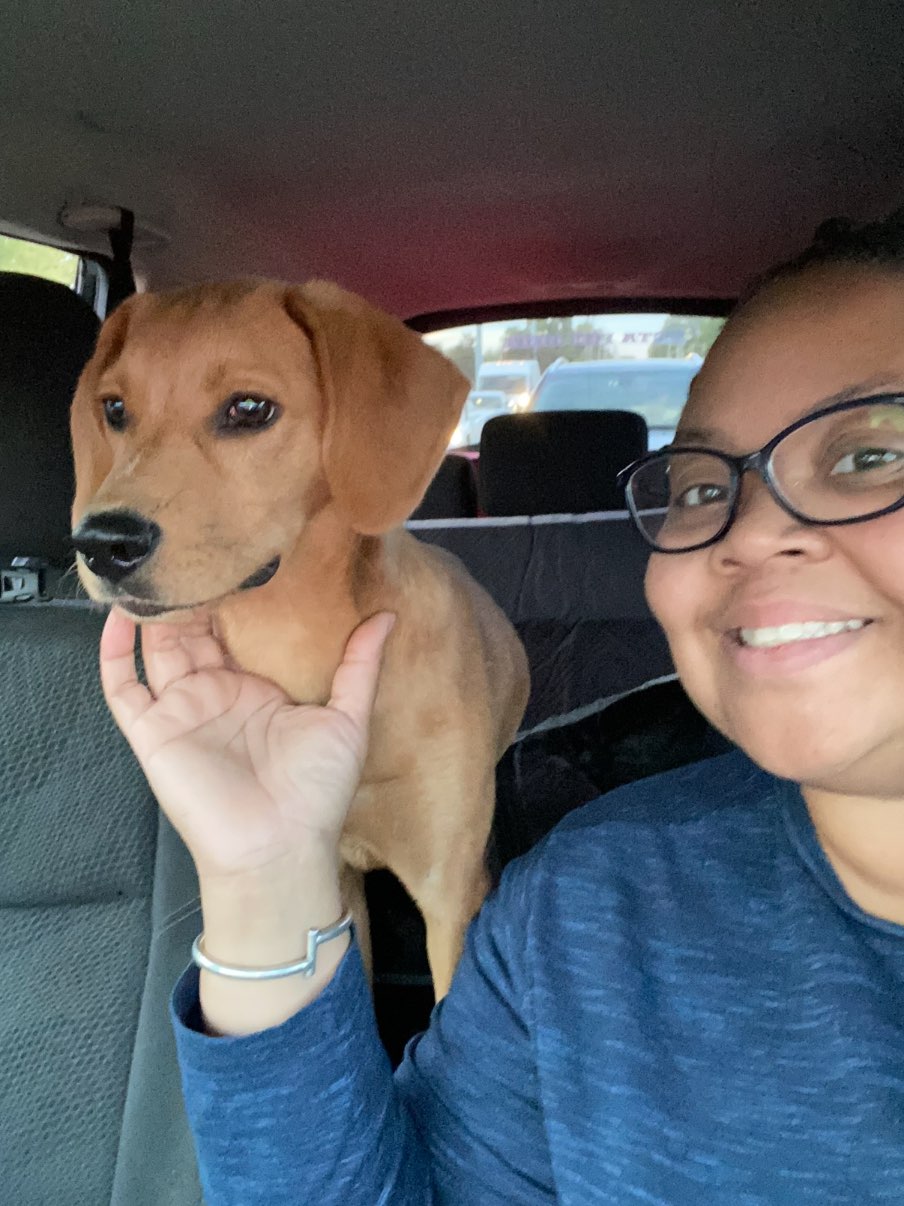 A picture of Lex Luthor, a 3 years 1 month old Other Mix dog.